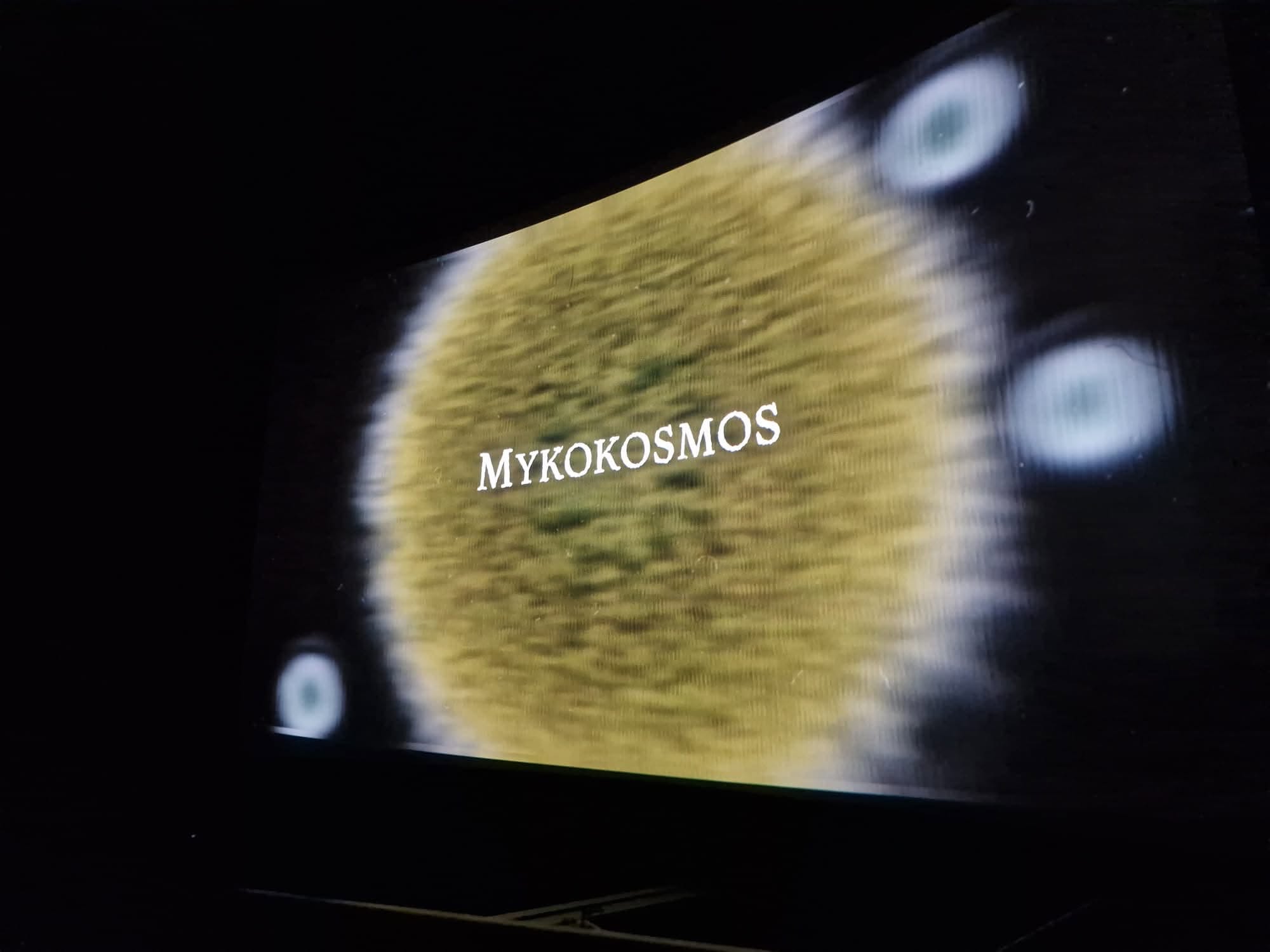 mykokosmos